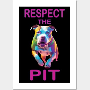 Respect the Pit Posters and Art